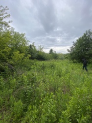 Ділянка в районі Горян фото 2 Ділянка в районі Горян фото 2