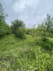 Ділянка в районі Горян фото 3 Ділянка в районі Горян фото 3