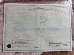 Ділянка в Циганівцях фото 2 Ділянка в Циганівцях фото 2