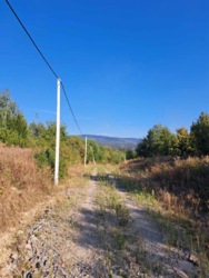 Продаж ділянки Невицьке-Дубки фото 4 Продаж ділянки Невицьке-Дубки фото 4