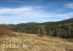 Продається 50 Соток Приватного Раю з Панорамним Видом та Власним Лісовим Краєм — Ідеально для Будівництва Шале чи Гірського Комплексу! фото 1 Продається 50 Соток Приватного Раю з Панорамним Видом та Власним Лісовим Краєм — Ідеально для Будівництва Шале чи Гірського Комплексу! фото 1
