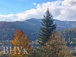 Продається 50 Соток Приватного Раю з Панорамним Видом та Власним Лісовим Краєм — Ідеально для Будівництва Шале чи Гірського Комплексу! фото 2 Продається 50 Соток Приватного Раю з Панорамним Видом та Власним Лісовим Краєм — Ідеально для Будівництва Шале чи Гірського Комплексу! фото 2