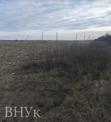 Земельна ділянка 7 км від Ужгорода фото 2 Земельна ділянка 7 км від Ужгорода фото 2