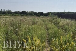 Продається зімельна ділянка біля магазина Ківі фото 2 Продається зімельна ділянка біля магазина Ківі фото 2