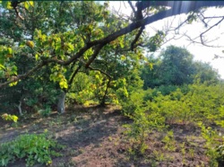 Волна участок фото 5 Волна участок фото 5