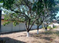 �������. ��������� �������� ������ ��� ����. ���� 4