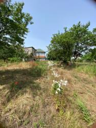 ���� �� �������� 3 ����� ���� 2