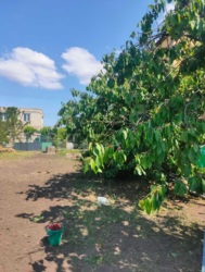 ������ ������� ����� ���� 2