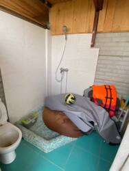 Ідеальна ділянка для вашої дачі! фото 9 Ідеальна ділянка для вашої дачі! фото 9