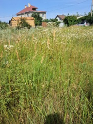 6 ����� �� �������� 2 ����� ���� 9