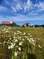 6 ����� �� �������� 2 ����� ���� 5