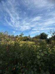 ̳��� �� �����, ������� ,���������� ������ 7 ����� ��� ���� . ���� 1