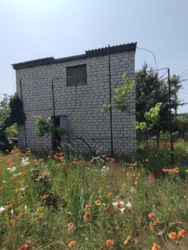 ���� �� �������� 3 ����� ���� 9