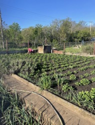 ������� ����� ������ 6 ��� ��� ����� /������ �� ������������ ���� 4