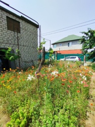 ���� �� �������� 3 ����� ���� 11