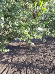 2 ������(�����) ���� 4