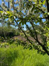 ĳ����� �� ����� ���� 9