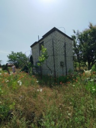 ���� �� �������� 3 ����� ���� 15