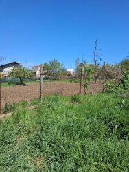 ĳ����� �� ����� ���� 6