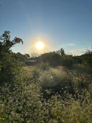 �������� ������ � ������� ��������� �� ������� ����� ���� 3