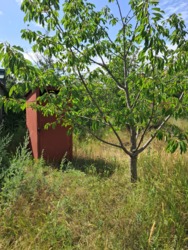 6 ����� �� �������� 2 ����� ���� 10