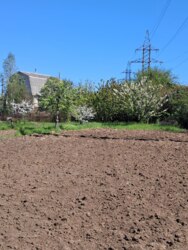 ĳ����� �� ����� ���� 5