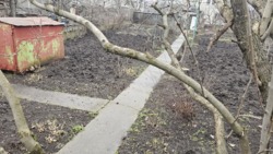 Участок СОГ Волна фото 3 Участок СОГ Волна фото 3