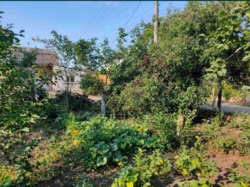 Волна участок фото 2 Волна участок фото 2