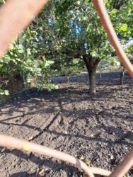 2 ������(�����) ���� 2