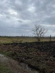 15 соток Барабои фото 1 15 соток Барабои фото 1