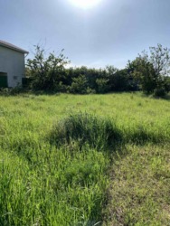 Земельна ділянка на Ветерані 14 сот фото 3 Земельна ділянка на Ветерані 14 сот фото 3