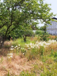 ���� �� �������� 3 ����� ���� 13