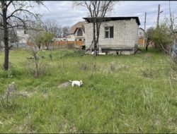 В продажі ділянка з недобудованим будинком фото 7 В продажі ділянка з недобудованим будинком фото 7