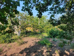 Волна участок фото 4 Волна участок фото 4