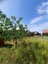 6 ����� �� �������� 2 ����� ���� 6