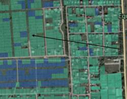 Продаж земельної ділянки в Молодіжному. фото 2 Продаж земельної ділянки в Молодіжному. фото 2