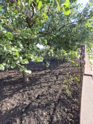 2 ������(�����) ���� 1