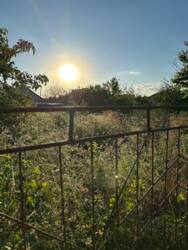 �������� ������ � ������� ��������� �� ������� ����� ���� 5