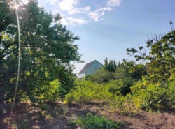 Волна участок фото 1 Волна участок фото 1