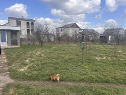 ��������� ������� �/� �������� ���� 1