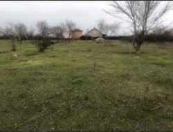 ������ ������ �� ������� �������� ���� 1