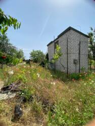 ���� �� �������� 3 ����� ���� 1