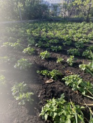 ������� ����� ������ 6 ��� ��� ����� /������ �� ������������ ���� 2