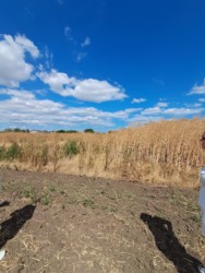 ĳ����� � ���������� ���� 2