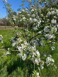 ĳ����� �� ����� ���� 10