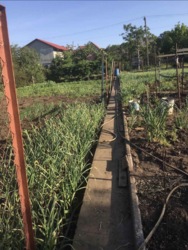 ������� ����� ������ 6 ��� ��� ����� /������ �� ������������ ���� 1