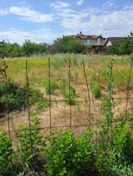 6 ����� �� �������� 2 ����� ���� 3