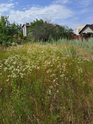 6 ����� �� �������� 2 ����� ���� 11