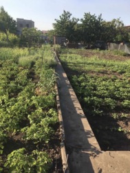 ������� ����� ������ 6 ��� ��� ����� /������ �� ������������ ���� 3