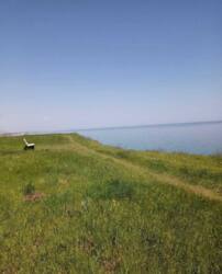 ĳ����� ��� ���� �� ������� ���� 5